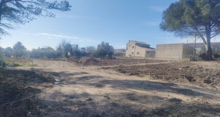 Mus Terrain à bâtir - 2115989-11249annonce220250324r5m9H.jpeg Maisons Open