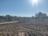  2115989-11249annonce320250324Tl7t6.jpeg Maisons Open
