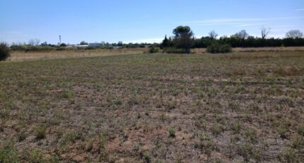 Marseillan Terrain à bâtir - 2116349-3243annonce120250324nV06F.jpeg Maisons Open
