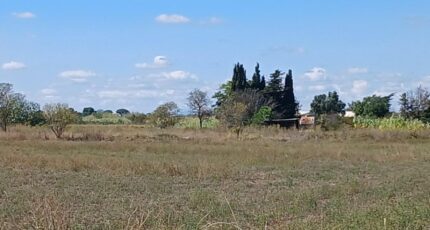 Marseillan Terrain à bâtir - 2116349-3243annonce220250324TIw5z.jpeg Maisons Open
