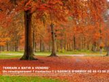  2099181-10545annonce120250307NC0x1.jpeg Maisons Open