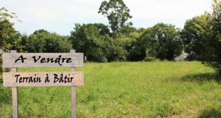 Montigny-sur-Loing Terrain à bâtir - 2107855-10224annonce120250315TQuv5.jpeg Maisons Open