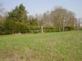  2149275-4353annonce120250505UpCVl.jpeg Maisons Open
