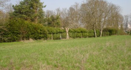 Montigny-sur-Loing Terrain à bâtir - 2149275-4353annonce120250505UpCVl.jpeg Maisons Open