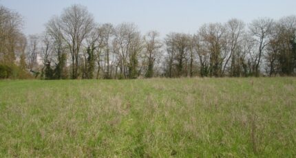 Montigny-sur-Loing Terrain à bâtir - 2149275-4353annonce2202505058nkke.jpeg Maisons Open
