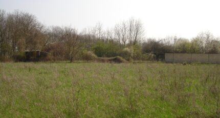 Montigny-sur-Loing Terrain à bâtir - 2149275-4353annonce320250505Dtq4t.jpeg Maisons Open