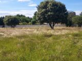  2149298-695annonce4202505069H2Tw.jpeg Maisons Open