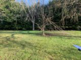  2149691-10622annonce120250506m2ixf.jpeg Maisons Open