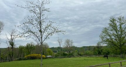 Chevreuse Terrain à bâtir - 2149961-11364annonce320250506Ta438.jpeg Maisons Open