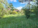  2153573-3243annonce320250510NOpey.jpeg Maisons Open