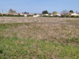  2161774-3418annonce120230907XUsT7.jpeg Maisons Open