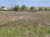  2161774-3418annonce220230907CkTUT.jpeg Maisons Open
