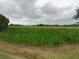  2156334-9897annonce120250331zBF4x.jpeg Maisons Open
