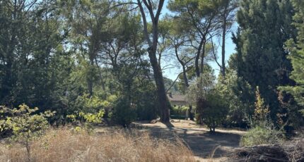 Pierrefeu-du-Var Terrain à bâtir - 2164239-4590annonce120250521756EZ.jpeg Maisons Open