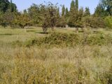  2164812-695annonce420250521T9TSR.jpeg Maisons Open
