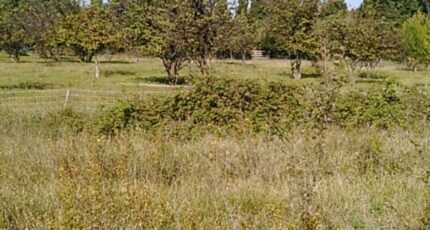 Aubignan Terrain à bâtir - 2164812-695annonce420250521T9TSR.jpeg Maisons Open