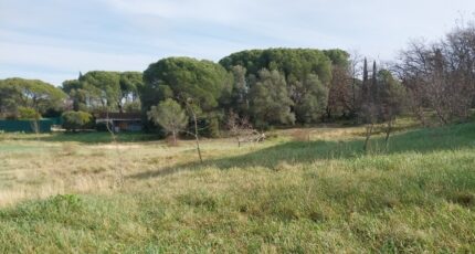 Roquebrune-sur-Argens Terrain à bâtir - 2170914-11157annonce220250526Xmvrm.jpeg Maisons Open