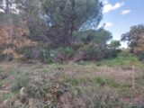  2171012-11157annonce120250526L0QT3.jpeg Maisons Open