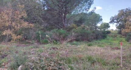Puget-sur-Argens Terrain à bâtir - 2171012-11157annonce120250526L0QT3.jpeg Maisons Open