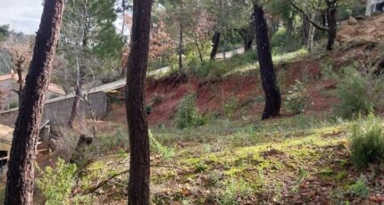 Vidauban Terrain à bâtir - 2170961-11157annonce520250526HeAeC.jpeg Maisons Open