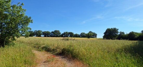 Terrain à bâtir à Vérargues, Occitanie