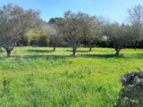  2113929-10744annonce1202503210EpRh.jpeg Maisons Open