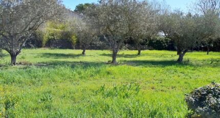 Brignoles Terrain à bâtir - 2113929-10744annonce1202503210EpRh.jpeg Maisons Open