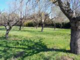  2113929-10744annonce220250321TEPFu.jpeg Maisons Open