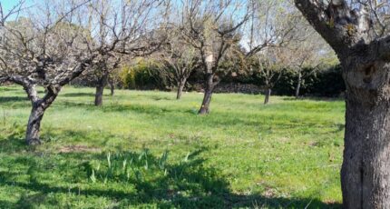 Brignoles Terrain à bâtir - 2113929-10744annonce220250321TEPFu.jpeg Maisons Open