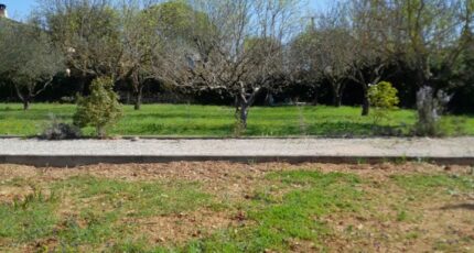 Brignoles Terrain à bâtir - 2113929-10744annonce220250326FJwso.jpeg Maisons Open