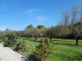  2113929-10744annonce320250326LbQp7.jpeg Maisons Open