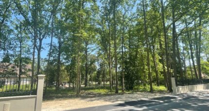 Milly-la-Forêt Terrain à bâtir - 2118705-10545annonce120250326fC1bT.jpeg Maisons Open