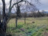  2123698-11040annonce120250403EEe8G.jpeg Maisons Open