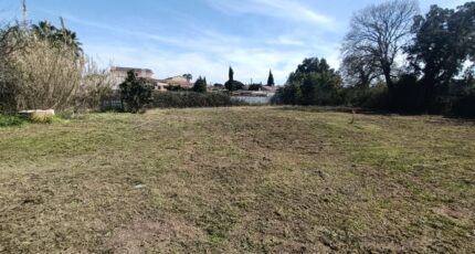 Puget-sur-Argens Terrain à bâtir - 2124299-10295annonce1202504039yXnL.jpeg Maisons Open