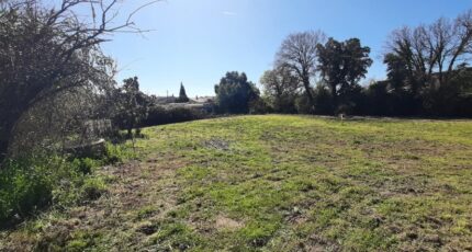 Puget-sur-Argens Terrain à bâtir - 2124301-10295annonce220250403Xnv7y.jpeg Maisons Open