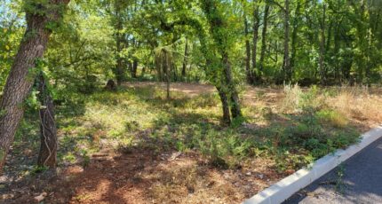 Nans-les-Pins Terrain à bâtir - 2124465-10744annonce120250404BthOI.jpeg Maisons Open