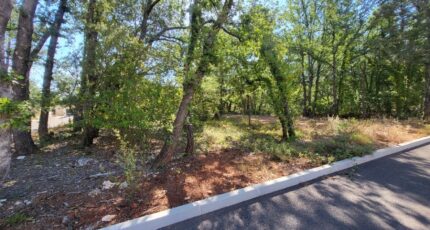 Nans-les-Pins Terrain à bâtir - 2124465-10744annonce220250404wB9vP.jpeg Maisons Open