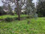  2125061-11039annonce220250404uz709.jpeg Maisons Open