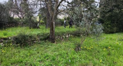 Draguignan Terrain à bâtir - 2125061-11039annonce220250404uz709.jpeg Maisons Open