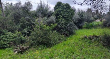 Draguignan Terrain à bâtir - 2125061-11039annonce320250404kncvm.jpeg Maisons Open