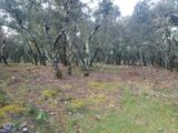  2126726-11137annonce220250407BeRMS.jpeg Maisons Open