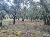  2126726-11137annonce320250407r04ml.jpeg Maisons Open