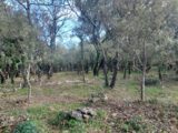  2126726-11137annonce4202504076O0hB.jpeg Maisons Open