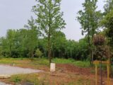  2126961-11045annonce320250407bpTK0.jpeg Maisons Open