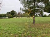  2126898-11045annonce420250407SBFu6.jpeg Maisons Open