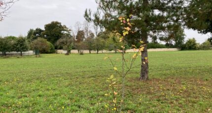 Hiersac Terrain à bâtir - 2126898-11045annonce420250407SBFu6.jpeg Maisons Open