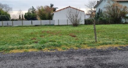 Saubens Terrain à bâtir - 2099592-10326annonce220250307rLdgc.jpeg Maisons Open