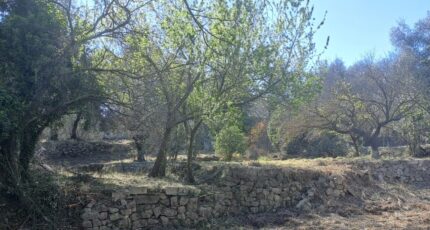 Tourrette-Levens Terrain à bâtir - 2129624-10316annonce120250410RHiW0.jpeg Maisons Open