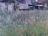  2130545-1635annonce120250411XWEmO.jpeg Maisons Open