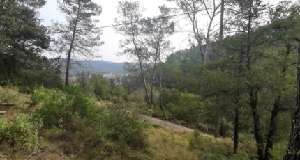 Vidauban Terrain à bâtir - 2137516-10295annonce220250422wsTLO.jpeg Maisons Open